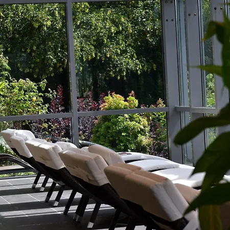 Phoenix Bergneustadt