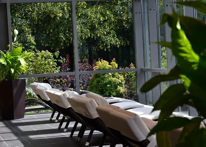 Phoenix 베르그노이스타트