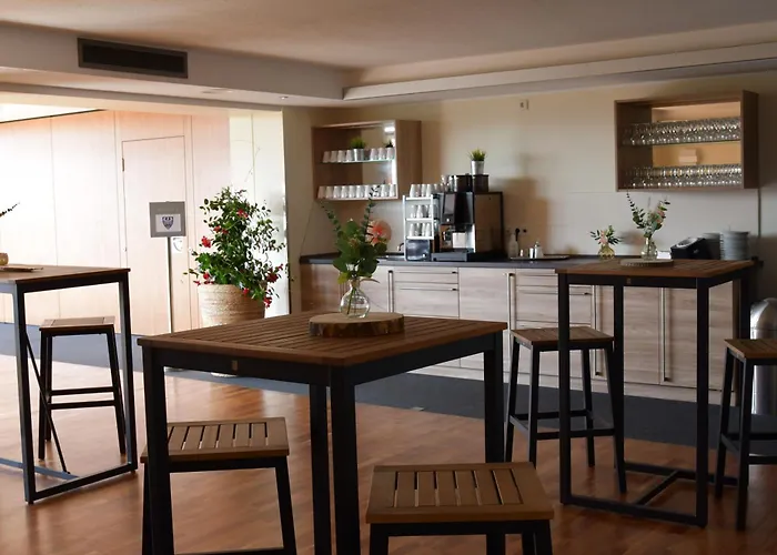 Phoenix 호텔 베르그노이스타트